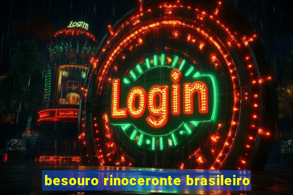 besouro rinoceronte brasileiro